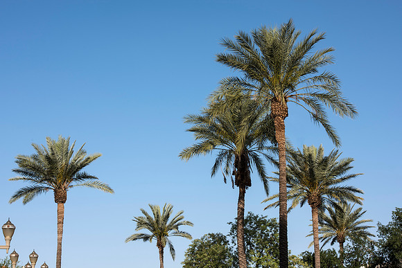 FreedomPlazaPeoria042115