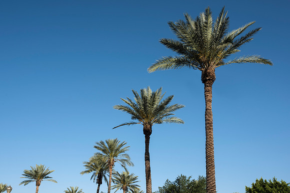 FreedomPlazaPeoria042115